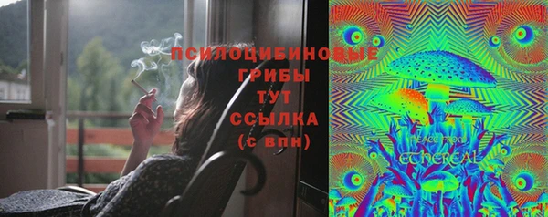 эйфоретик Баксан